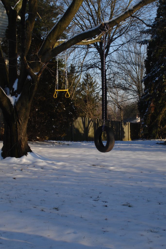 Tire swing in neighborhood by ldeano