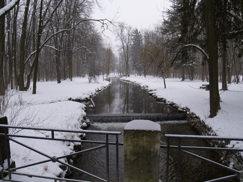 Englishcer Garten, Hirschau, Blick nach Süd by apfelmurks