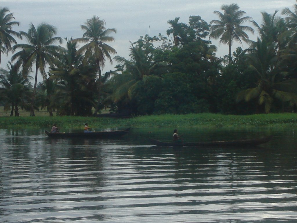 The Coconut Lagoon from the lake Vembanadu by shail