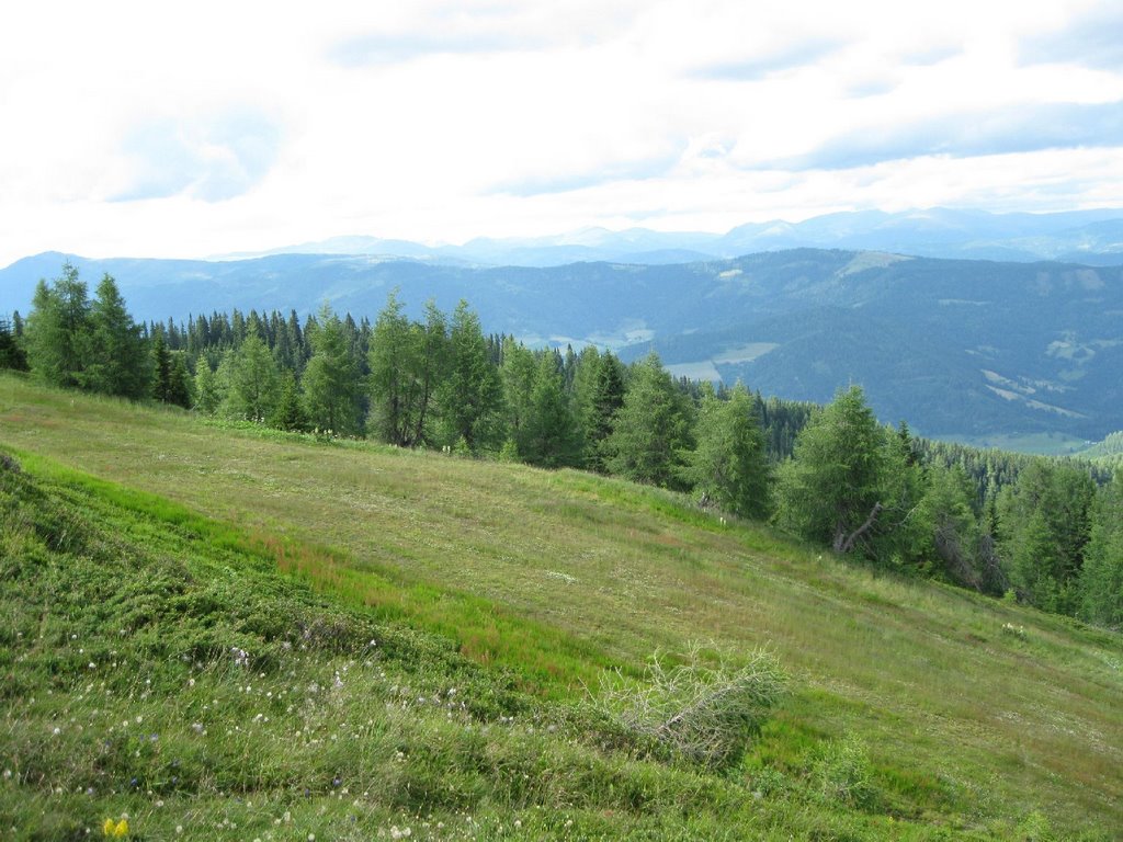 Gemeinde Arriach, 9543, Austria by Miklós Róbert