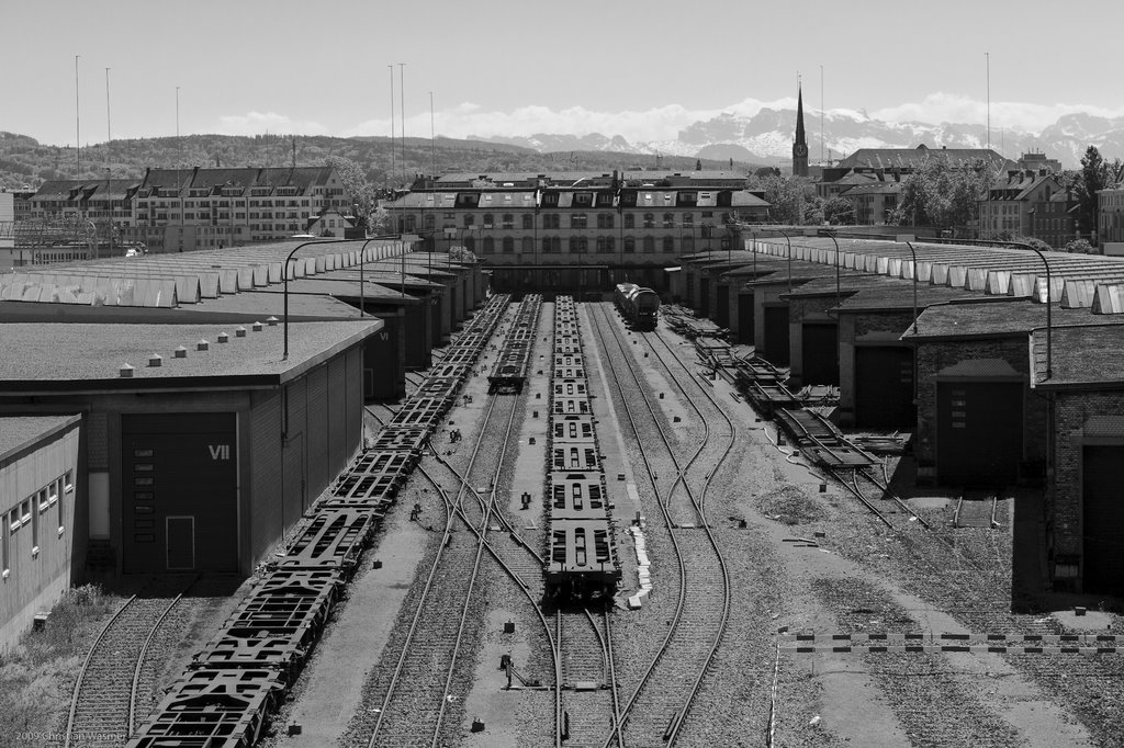 Goods station, city and alps from Hardbrücke by christian.wasmer