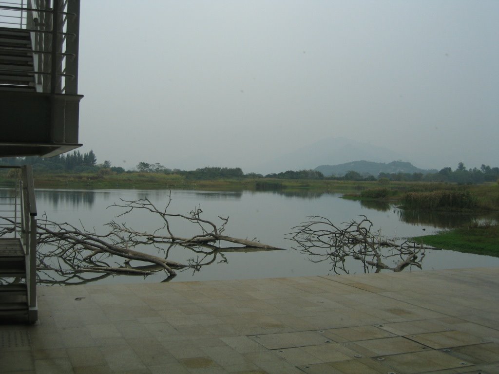 Wetland Park, exterior by arkamit