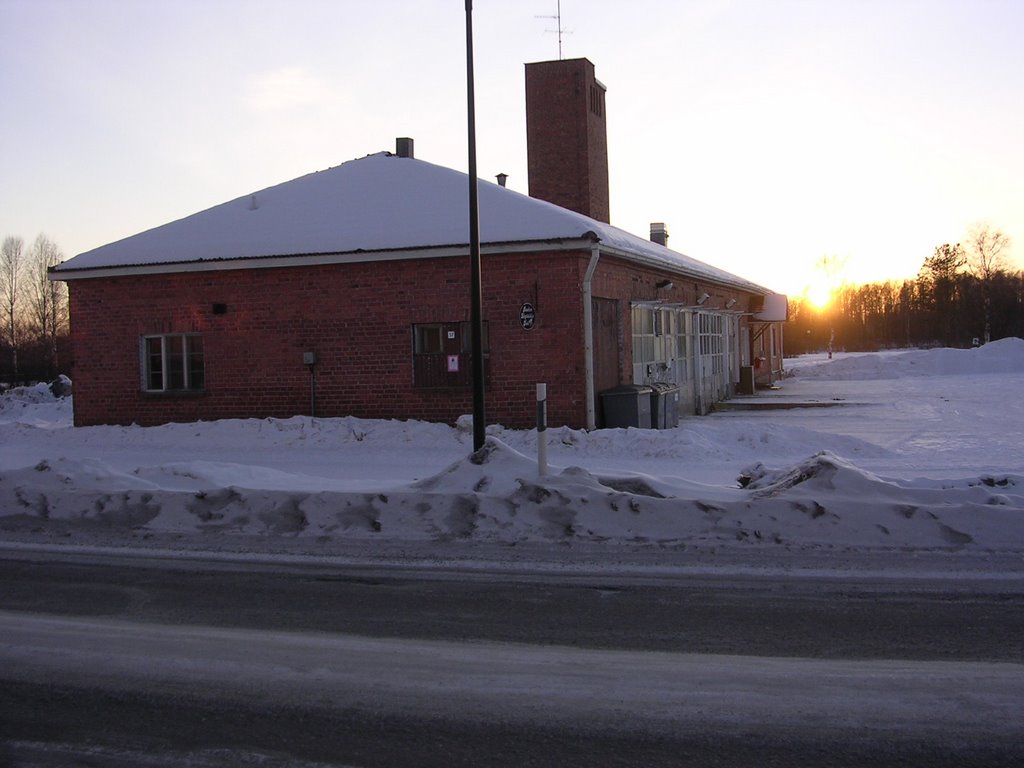 Löytöeläinkoti, Home for found animals by Aulo Aasmaa