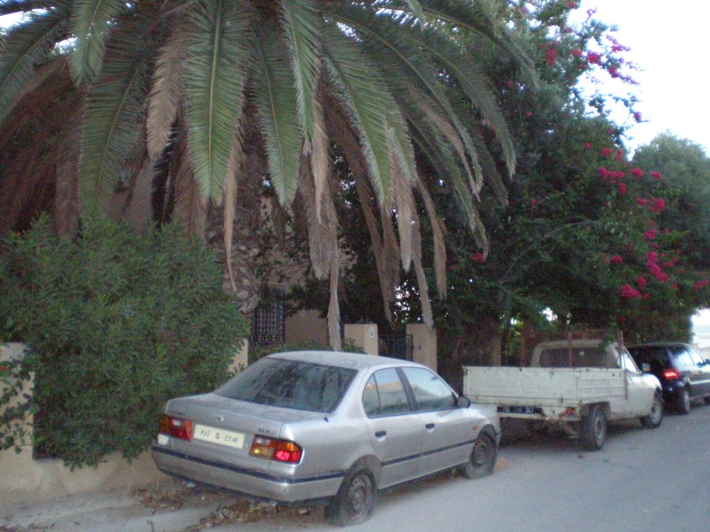 Marsa Plage rue Imam Sahnoun by fellahmounir