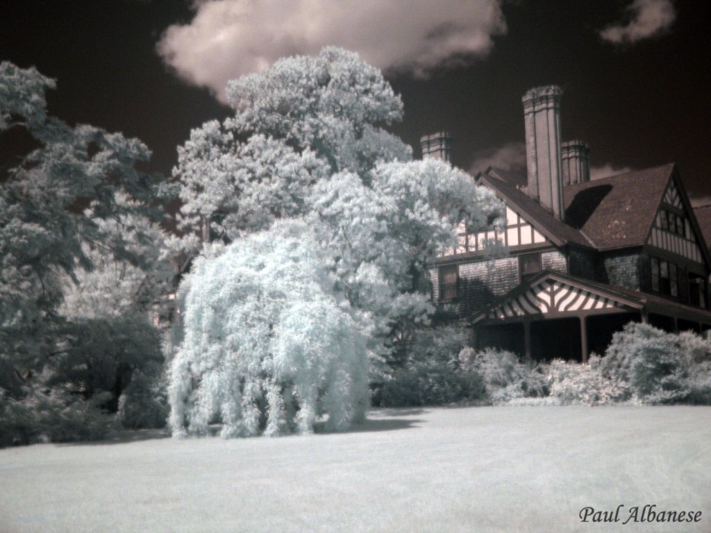 Bayard Arboretum Old Mansion by Paul D. Albanese