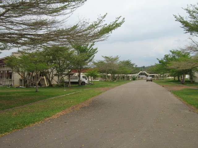 Allee des Parents (USTM - Mbaya) by okouma