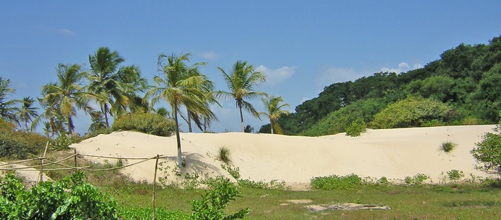 Praia do Pesqueiro, Souré by niani