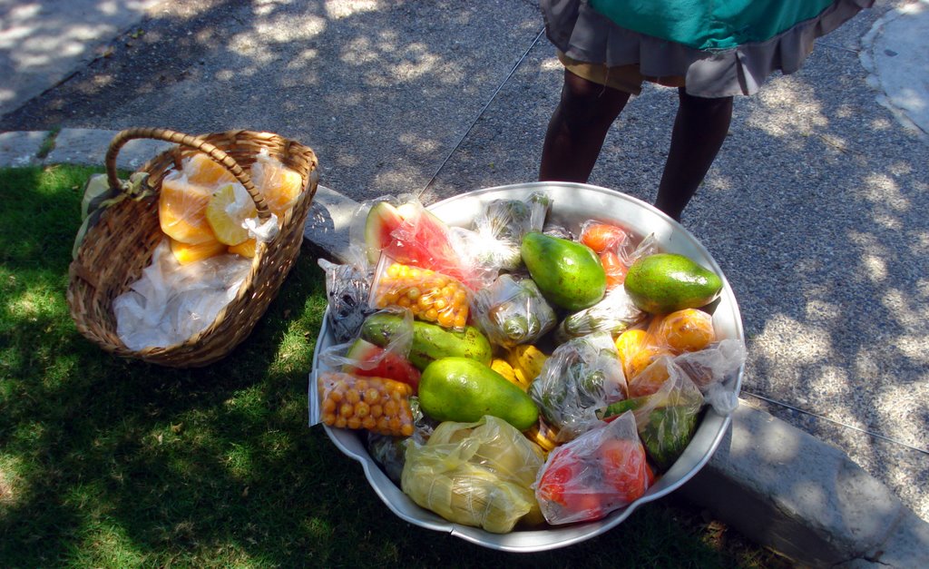 LAS FRUTAS Y AGUACATES DE ANITA. by DIANA MEYER V.