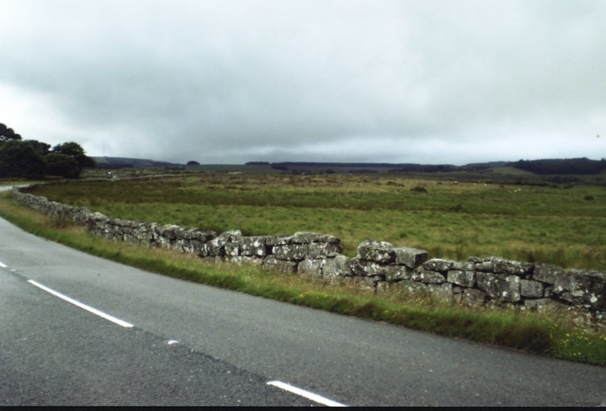 Dartmoor Weather (3) by Den Chapman