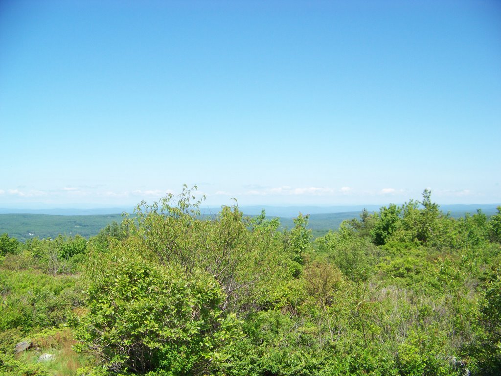 View from Gap Mountain by plumbum960