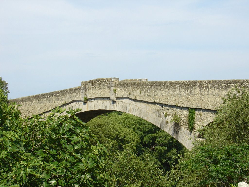 Frankreich_Languedoc-Roussillon_Céret, Pont du Diable by © ELMOKULA