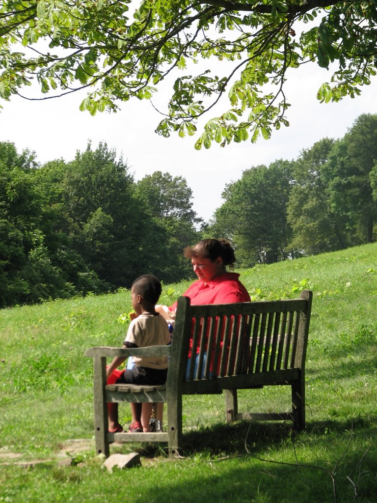 Bench by loisbb