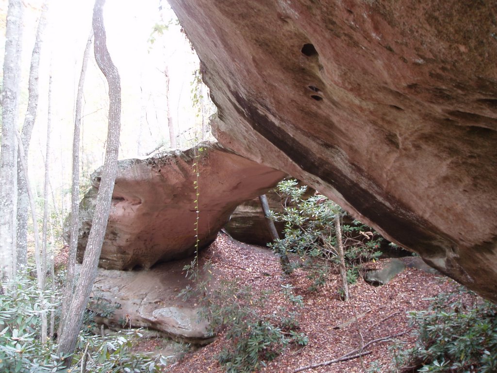 Natural Bridge @ Pickett SP by T13Harvey