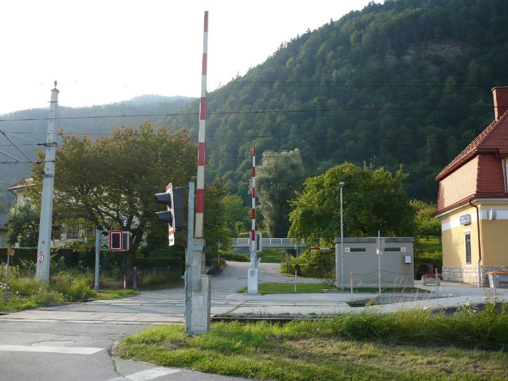 Gemeinde Steindorf am Ossiacher See, Austria by Miklós Róbert