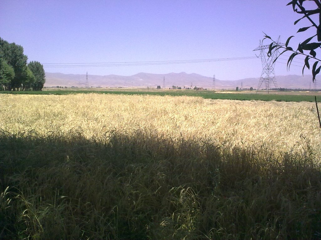 Abhar County, Zanjan Province, Iran by Arash Emami