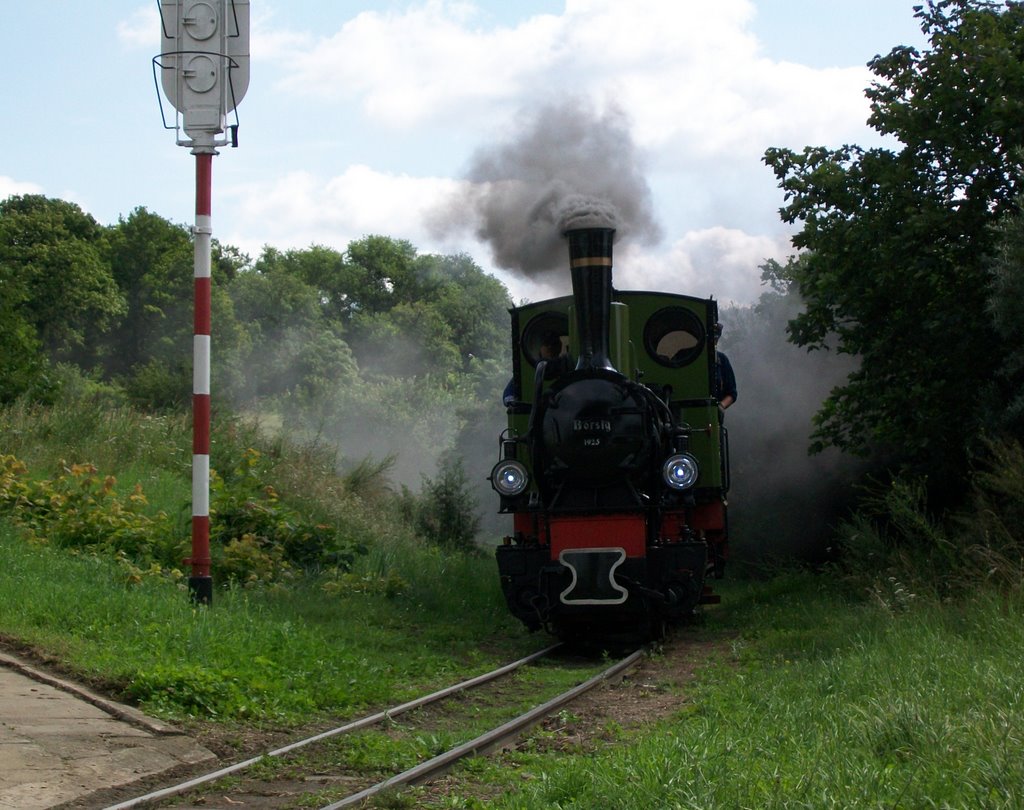 Parowóz kolejki jeden z najstarszych w Europie- steam engine of small railway one from the oldest in Europe by dziadek.radek