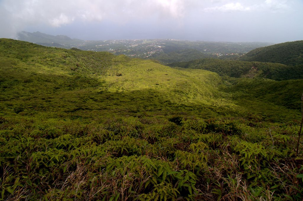 Savane à Mulets et Ravine Marchand (Soufrière) by Yanti & François Bea…