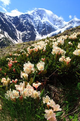 Elbrussky District, Kabardino-Balkaria, Russia by MagDel