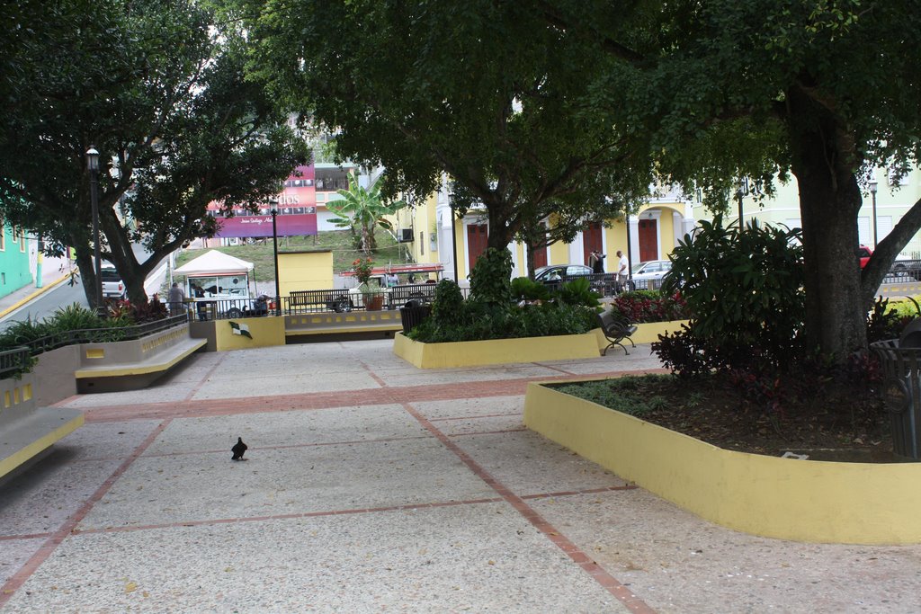 Plaza de Recreo de Comerío by Ricardo David Jusino