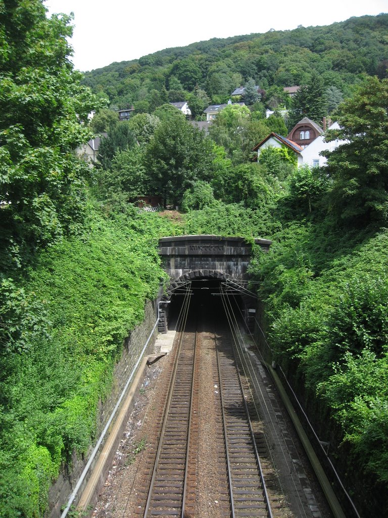 S-Bahn-Tunnel by ilpadre