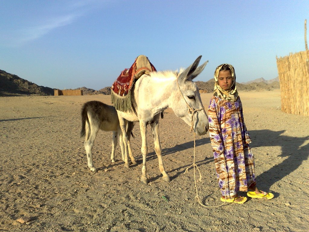 Qesm Hurghada, Red Sea Governorate, Egypt by M. Aouinet