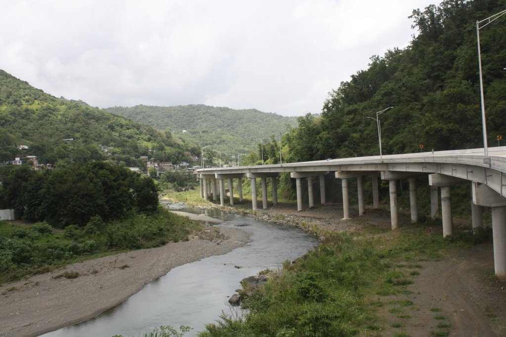 El Puente-Comerío by Ricardo David Jusino