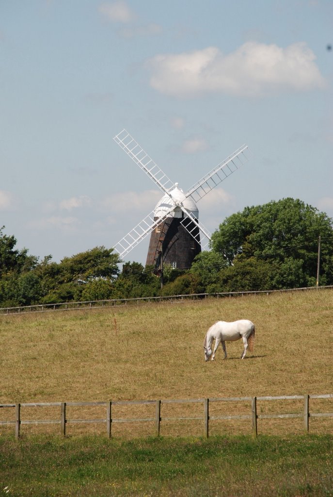 Jack or Jill South Downs Way by Isherwood Images