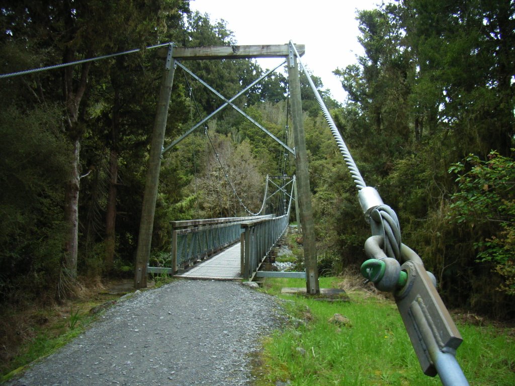 Small suspension bridge in forest near Lake Matheson by Arjan Veen