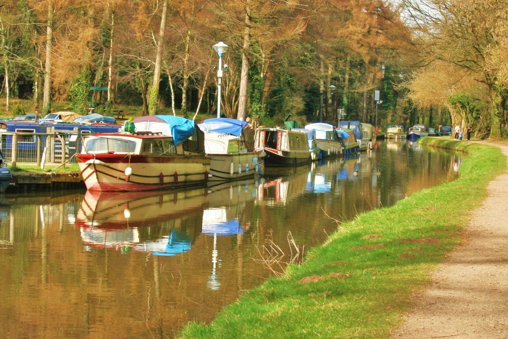 Goytre wharfe brecon and newport canal by nivek62