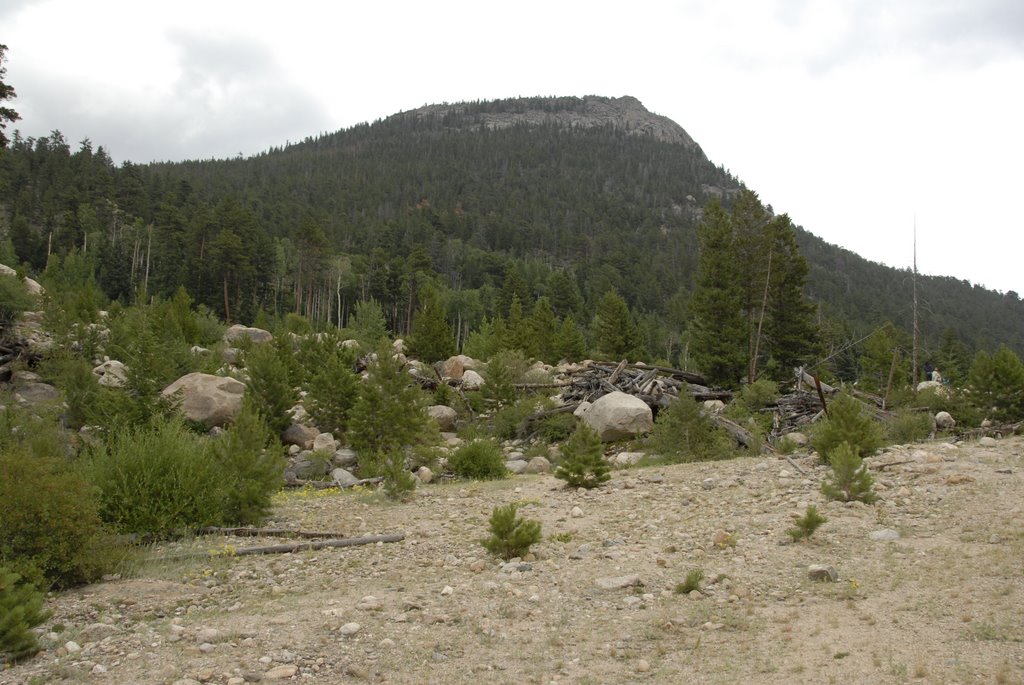 View from Alluvial Fan in RMNP by Dinesh N