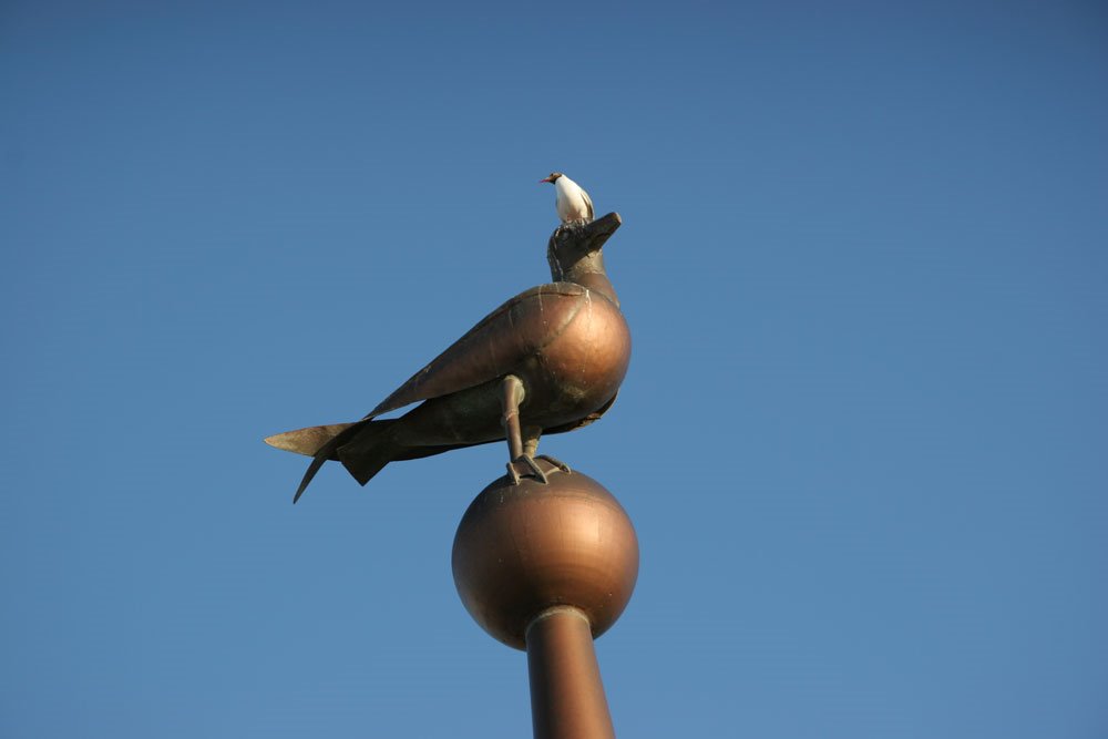 Seagull and Seagull by hazdy