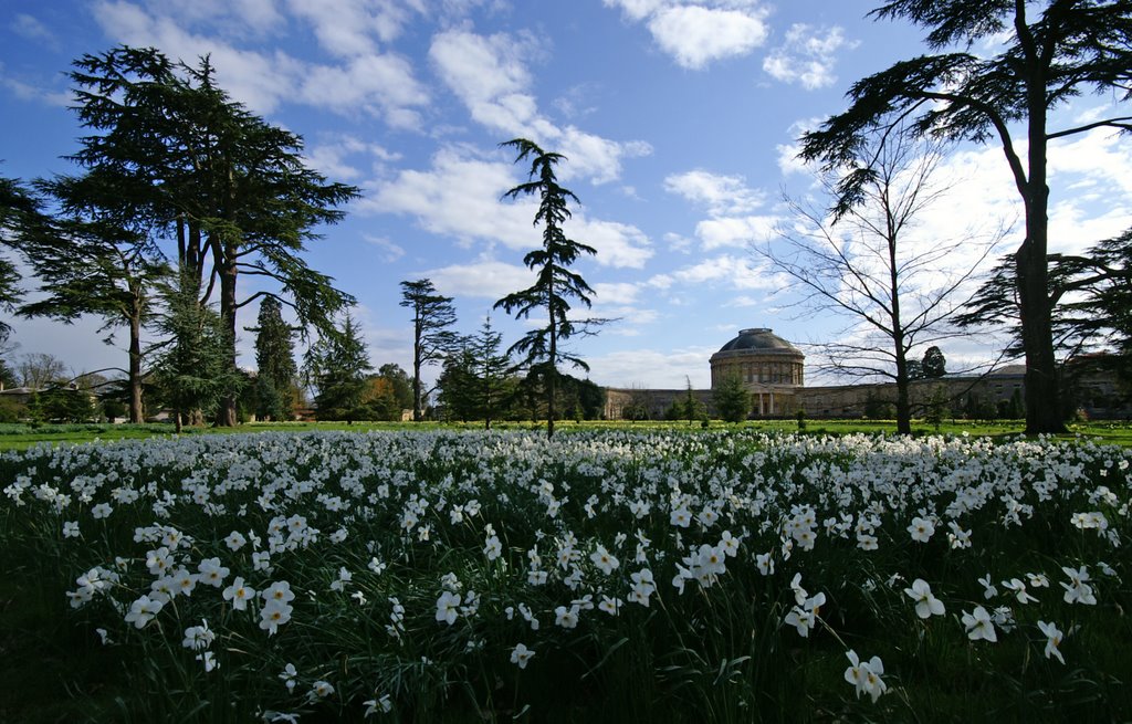 Ickworth Hall in Spring by Hammerkop