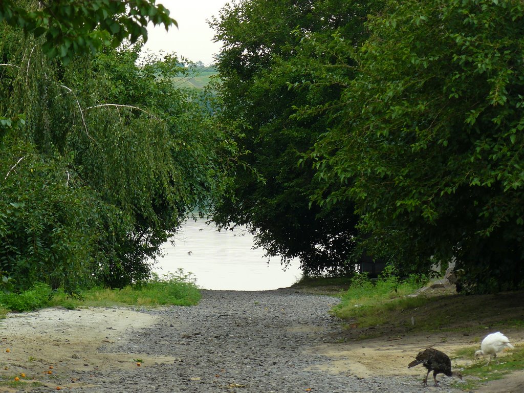 Pryyutivka, Kirovohrads'ka oblast, Ukraine by ~~~SERGIO~~~