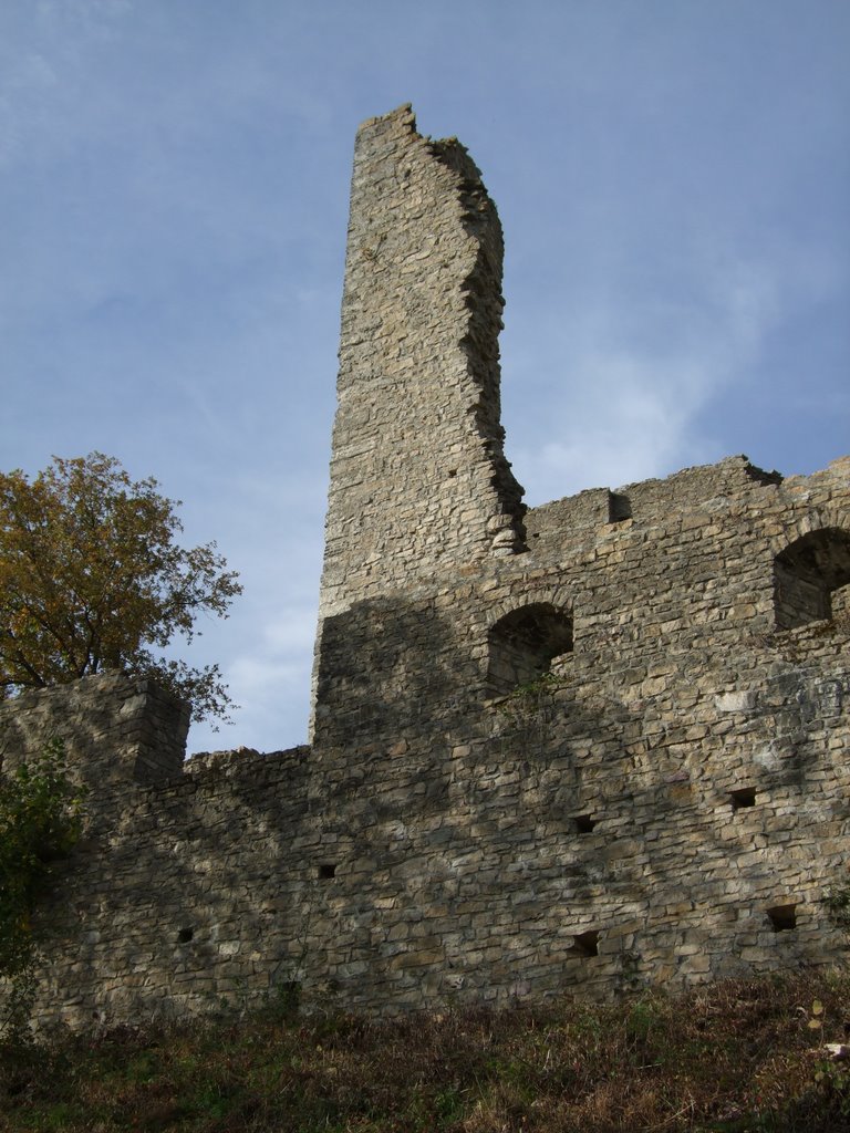 Ruine Schenkenberg by Matthias Sutter