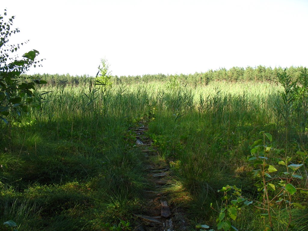 Garkalnes novads, Latvia by SkyDreamerDB