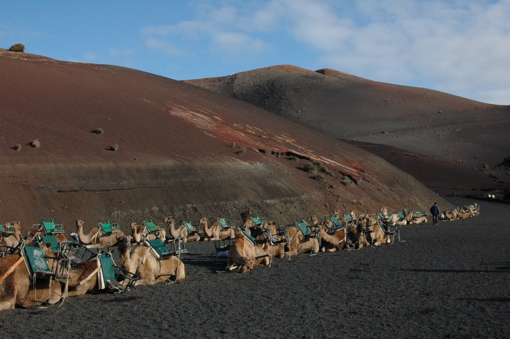 Parco nazionale Timanfaya by Massimo Pavan