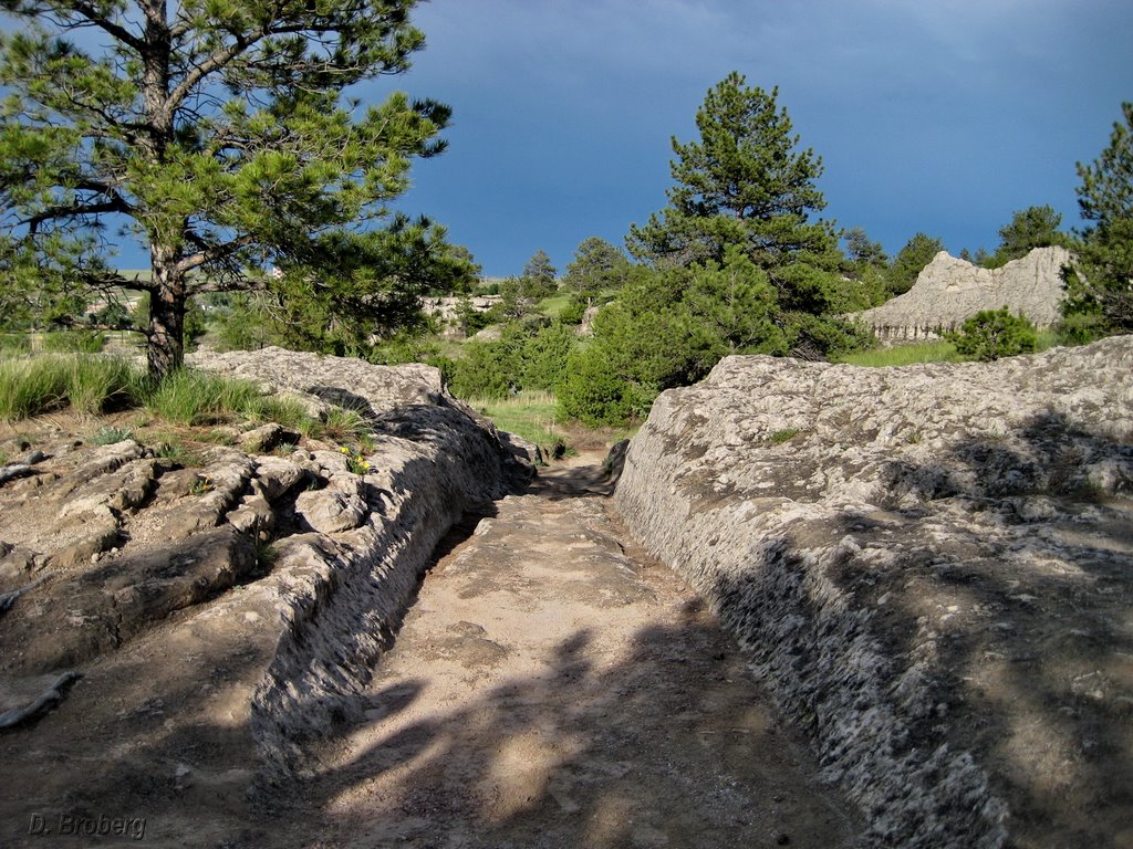 Oregon Trail Ruts by D.Broberg