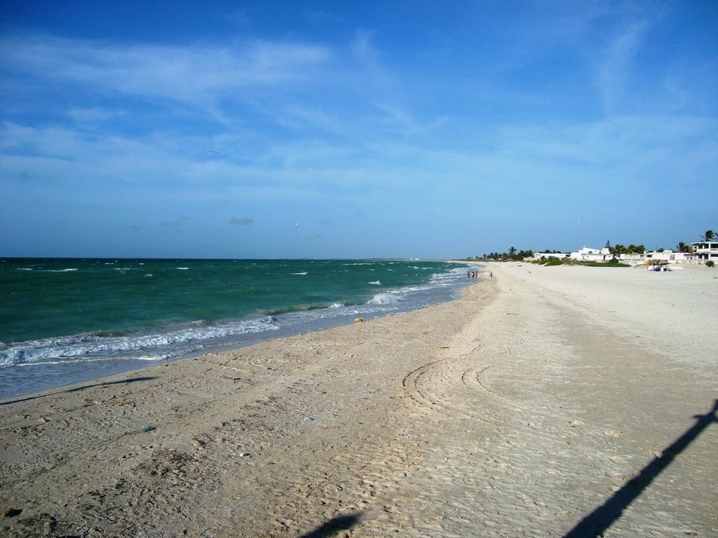 Costa de Sisal , Yucatán by requin9