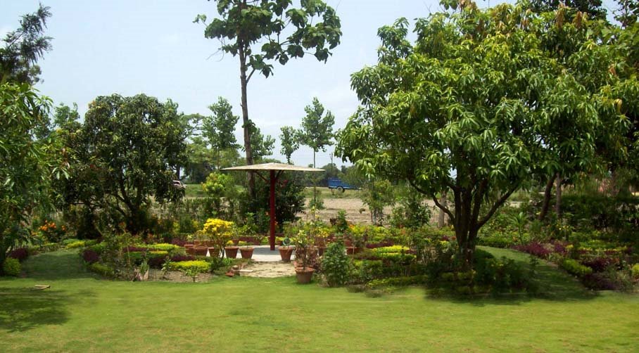 Lush green environment at Kicha farm house, Kicha by www.husainstudio.com