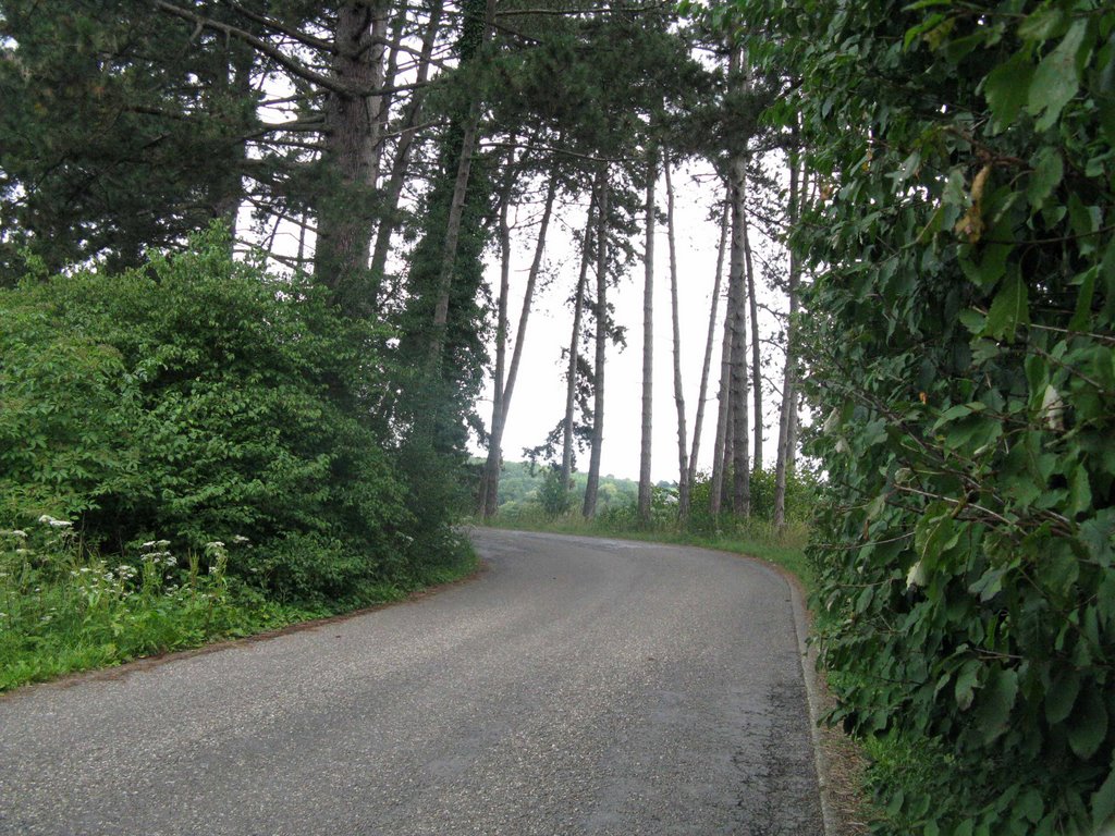 Le chemin des Holliguettes qui descend vers Val Dieu by Françoise Klauner