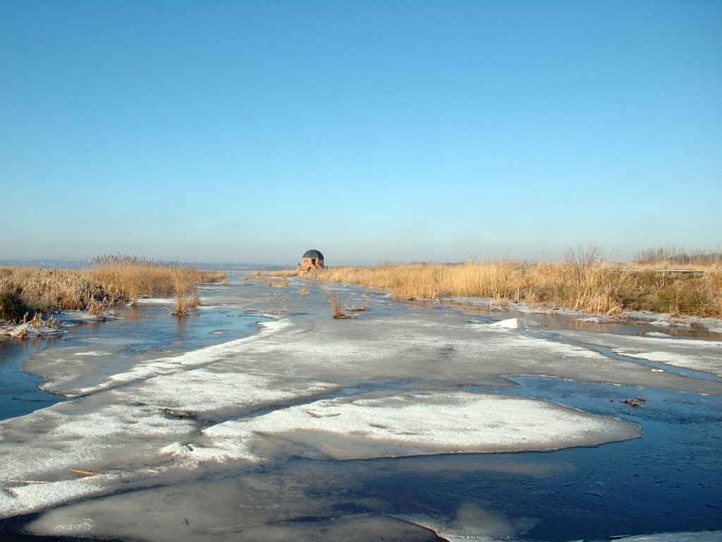 Vinter i Vorup Enge by Kim Bruun