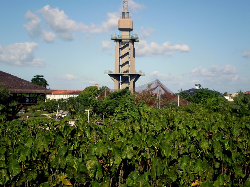 Visto do Mirante do Rio - Ao fundo o Farol de Belém by edsonlima1008