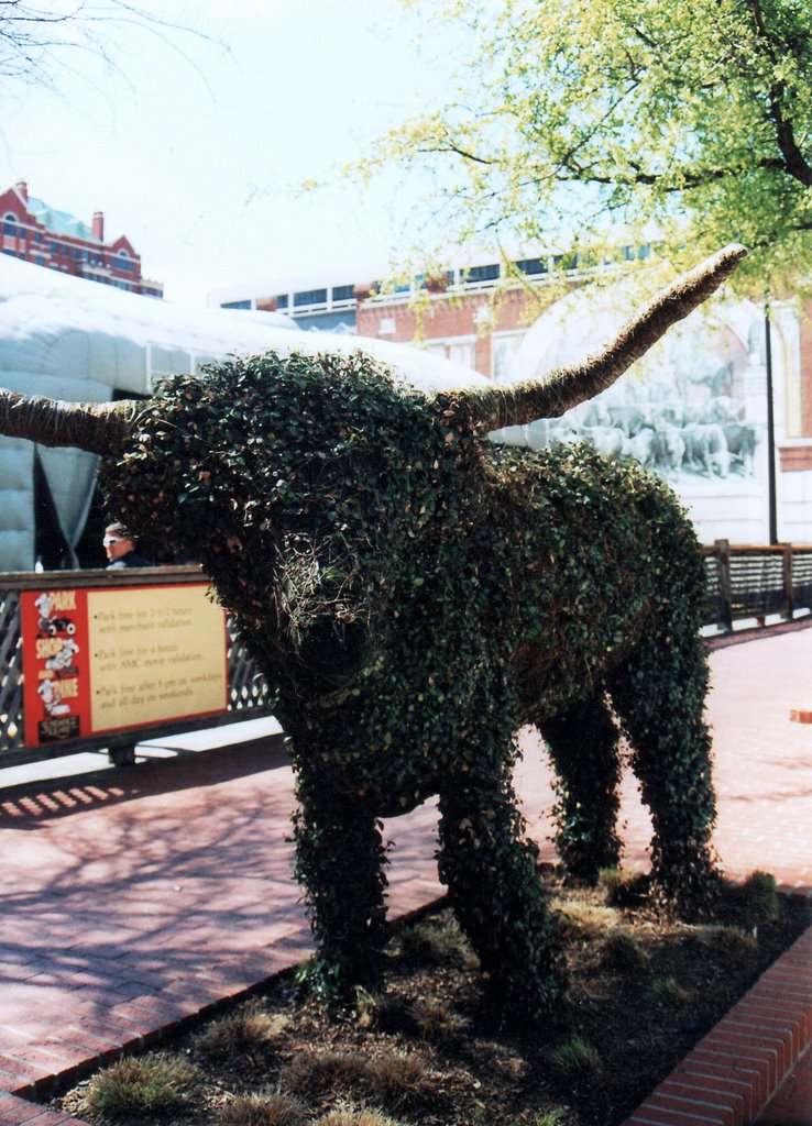 Fort Worth bull green 2002 by emkaplin