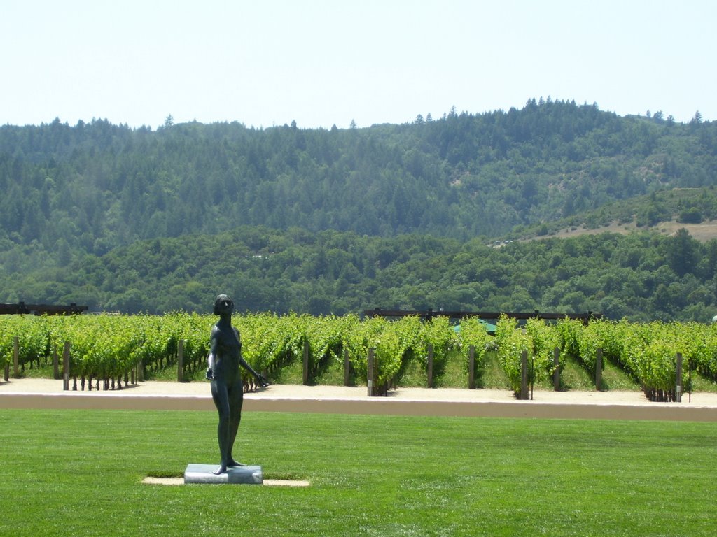 Robert Mondavi Winery lawn by thelegendofkb