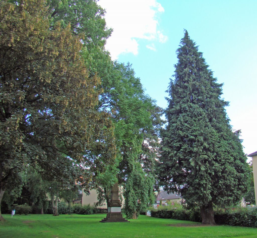 Am Ohl-Friedhof by Windbergbewohner