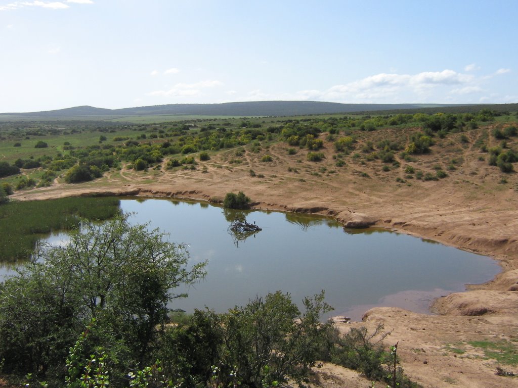 WATERING POINT FOR THE ANIMALS, NATIONAL ADDO ELEPHANT PARK, EASTERN CAPE by Elizabeth H. Roome