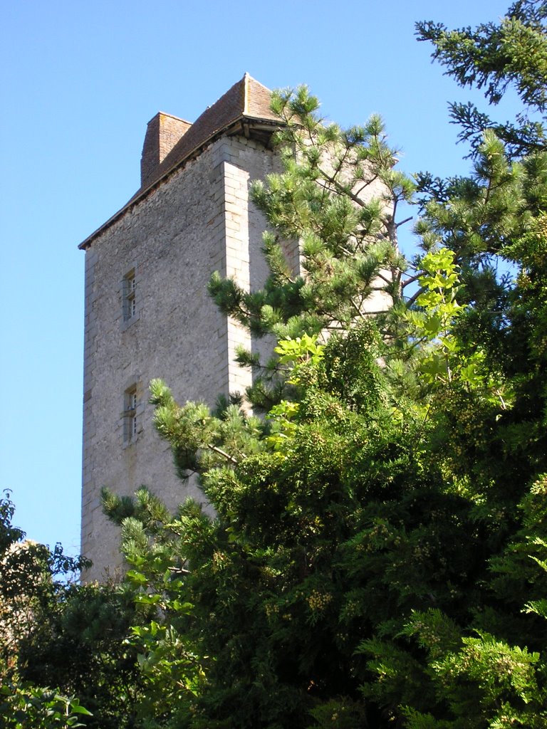 Château de Chavroches by Kroushkova