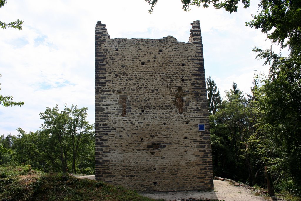 Tour Montmayeur (Sud) Val Gelon France by René Collomb