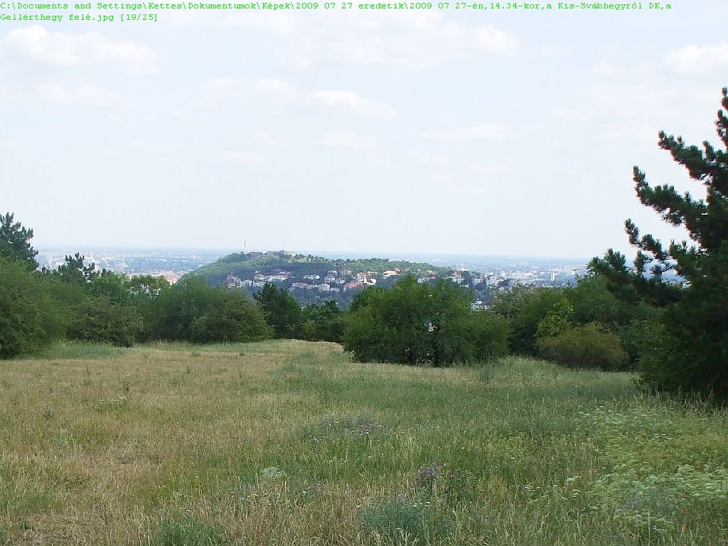 Panoráma a Kissvábhegy (volt Martinovics-hegy) tetejéről a Gellérthegy irányába, 2009 július 27--14.34 by Vastalicska