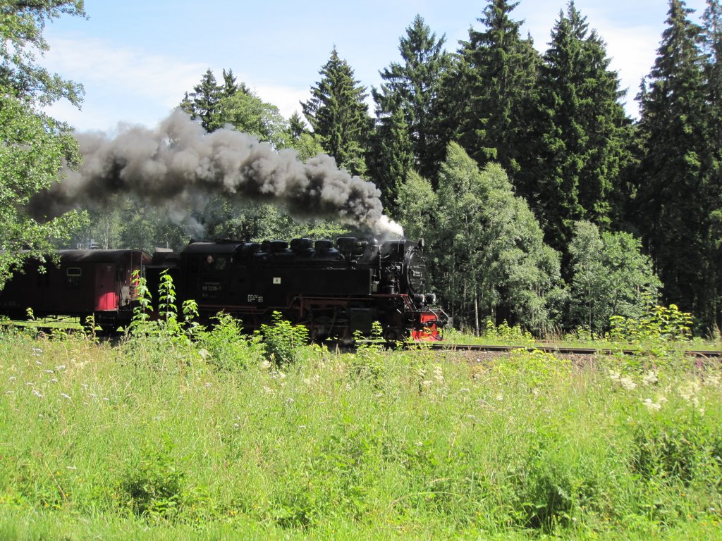 Harzer Schmalspurbahn by Michael Fischer